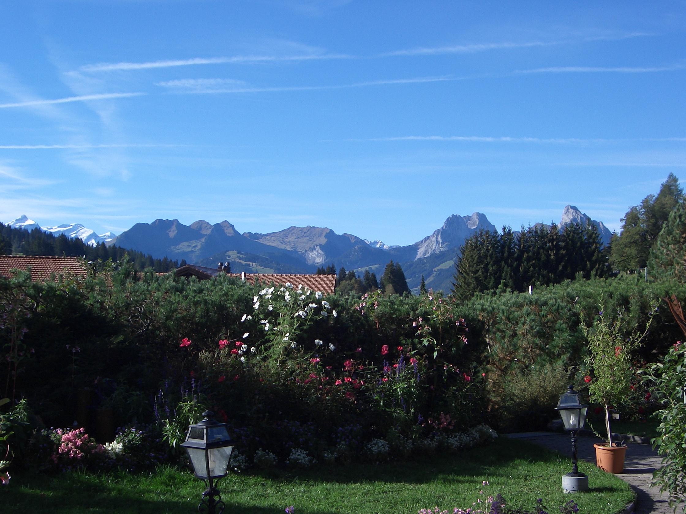 Hotel Golfhotel Les Hauts De Gstaad&spa 4*